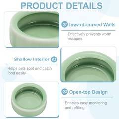 Reptile Food Bowl Worm Water Dish Ceramic Pet Bowl Small 3″ Plum Green