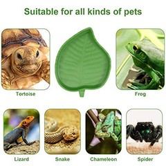 2 Pcs Green Leaf Reptile Food Water Bowl Plates