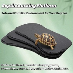 3 Pack Reptile Basking Platform, 11”x5.5” Tortoise Rock Plates, Bearded Dra…
