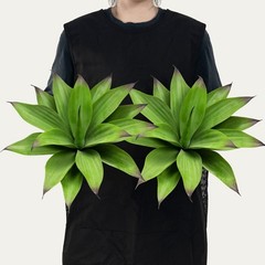 Ttranewsoo Fake Plants Artificial Agave Plants,Large UV Resistant Fake Agave …