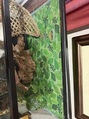 Aquarium Tank Kit Reptile Turtle Frog Lizard Snake Exo Animal Habitat