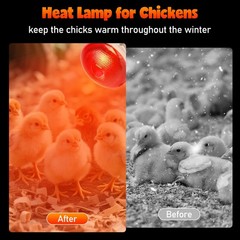 Heat Lamp Bulbs for Chickens, 150W Infrared Heat Lamp 1 Pack, Red Heat Lamp B…