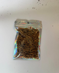 Dried mealworms – Food for invertebrates