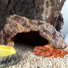 Reptile Rock Reptile Hide Cave Hideout Terrarium Habitat Decor Ornament Shelt…
