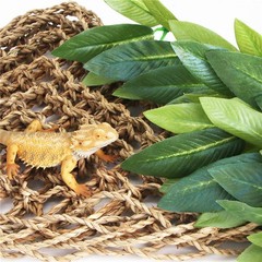 Green Hanging Silk Reptile Plant 12 Inch Terrarium Decoration