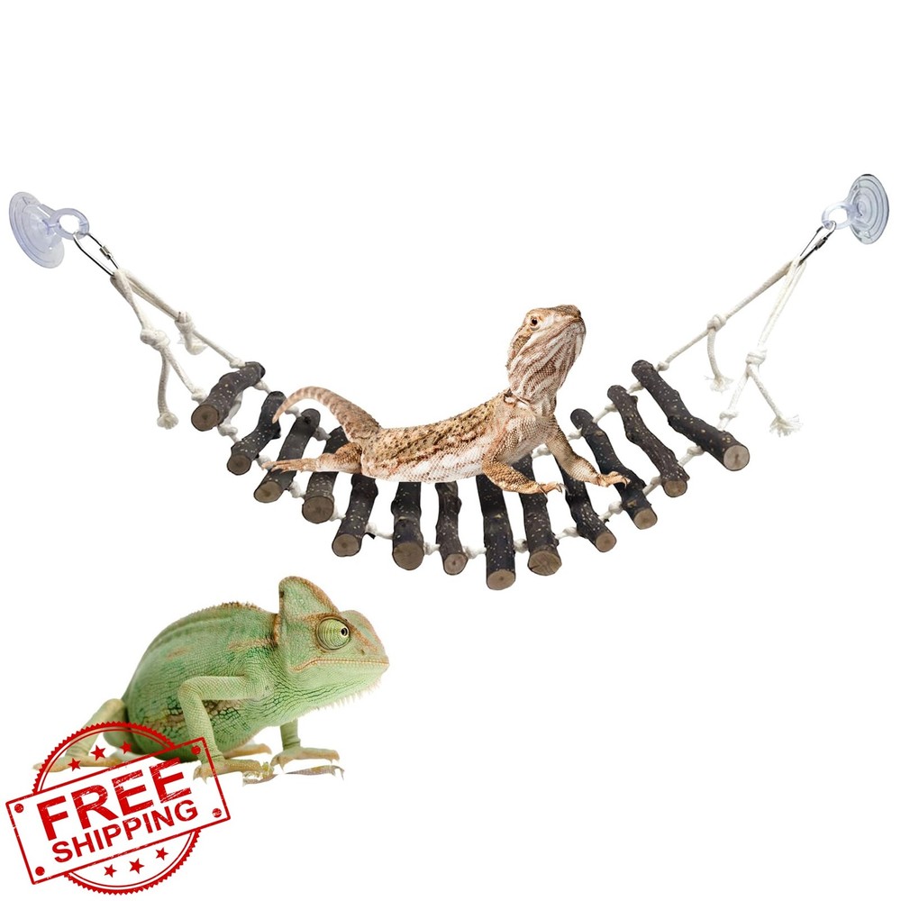 BNOSDM Reptile Bridge Applewood 23.6″