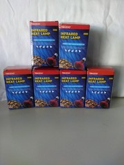 Reptile Lizard Terrarium Supplies