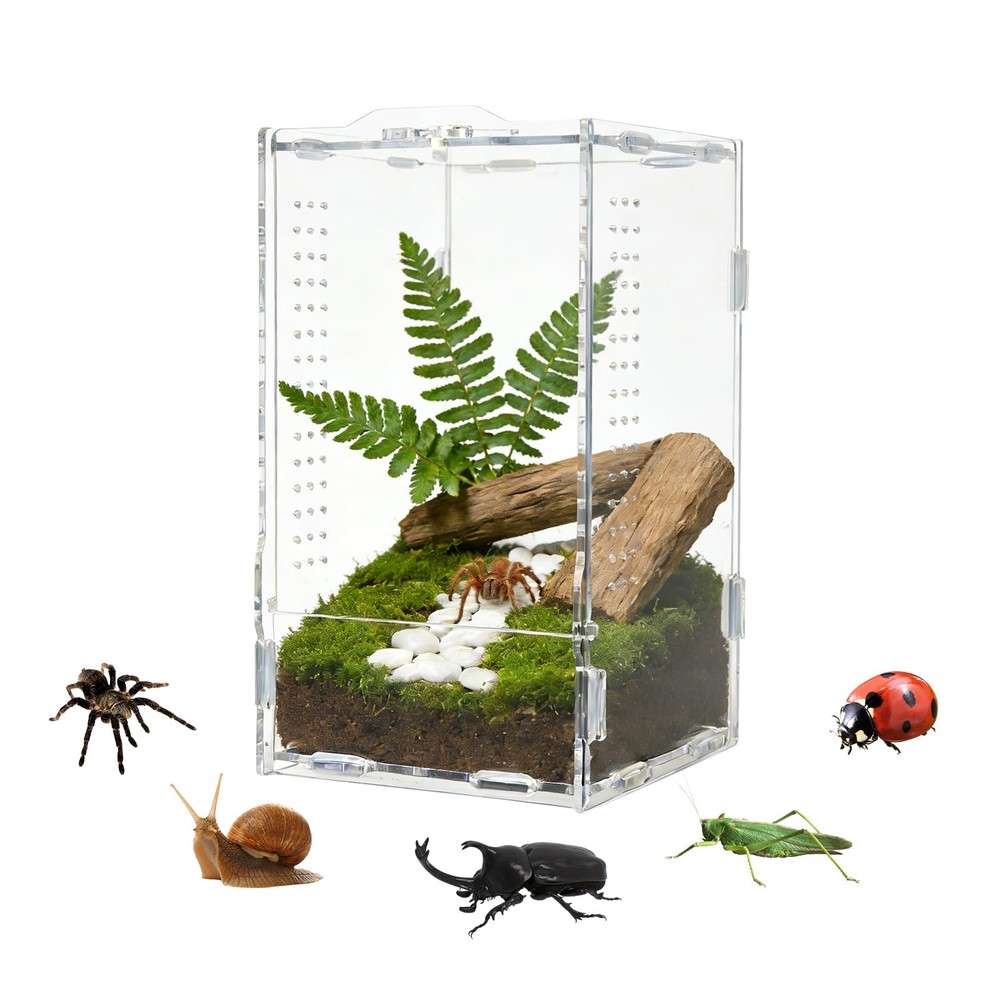 Transparent Acrylic Jumping Spider Enclosure Reptile Terrarium Tank Large