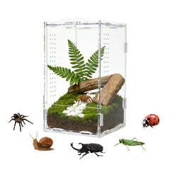 Transparent Acrylic Jumping Spider Enclosure Reptile Terrarium Tank Large