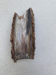 Reptile Terrarium Basking Climb and Shelter- Real Bark set of 2