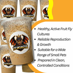 TC INSECTS 32oz Flightless Fruit Fly Culture Live Feeder Insects