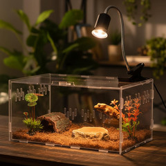 13 Pcs Mini Reptile Terrarium Starter Kits, 12X8X6” Insect Amphibians Reptile T
