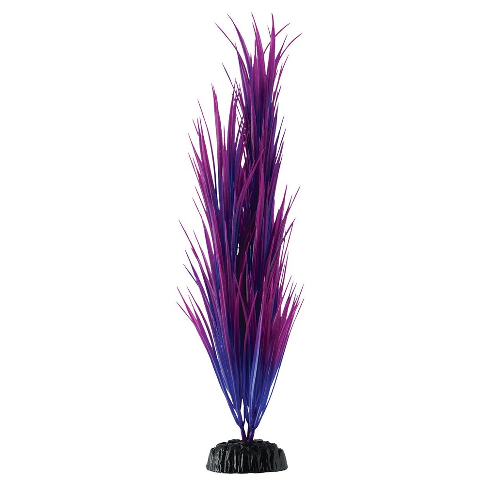 Underwater Treasures Purple Nile Grass Plant Select Size:: 16 inch