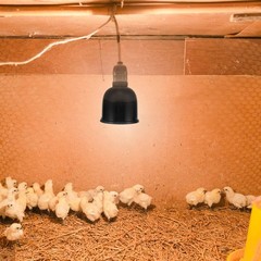 2Set Livestock Heating Lamp Guard Aluminum Durable Mesh for Reptile Poultry Use