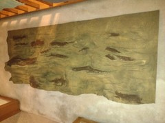 Universal Rocks background ledge 60″ x 24″ and COACHELLA SUCKS!