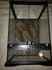 Reptile Terrarium with Lamps and Accessories Lizard Iguana
