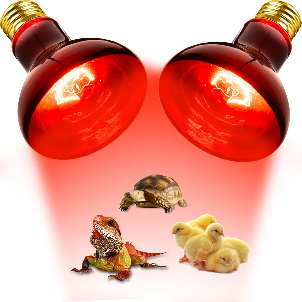 Flaspar 100W Red Heat Lamp Bulbs 2 Pack