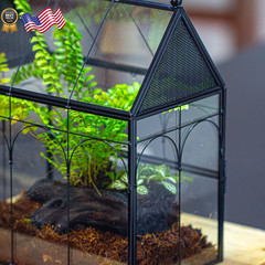 Glass Enclosure w/ Vent Holes for Insect Jumping Spiders Snails – 7.5″ xx 4.9″