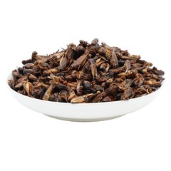 1LB Dried Crickets Food for Bearded Dragons, Wild Birds, Chicken, Fish, Reptiles