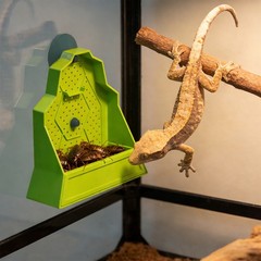Reptile Feeding Bowl, Feeder for Reptile,Reptile Corner Feeder with Suction Cups