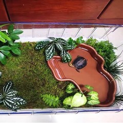 Extra Large Reptile Bathing Pool Reptile Feeding Dish Water Bowl with Ramp Aq…