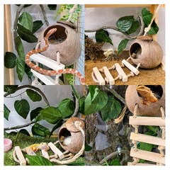 Crested Gecko Coconut Hide,Leopard Gecko Coco Hut Hideout Cave with Ladder,Re…