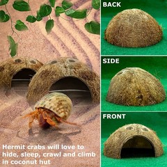 Reptile Hideouts Natural Coconut Shells Hut Hermit Crab Climbing Toys Gecko H…