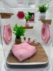 Pink Paradise Jumping Spider Terrarium with Customizable Enclosure Accessories
