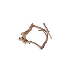 A&E Cage Co. Java Wood Multi Branch Perch Size: Medium (22″ L)