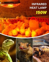 Heat Lamp Bulbs for Chickens Coop Brooder,150 Watt Reptile Heat Lamp Bulb Inf…