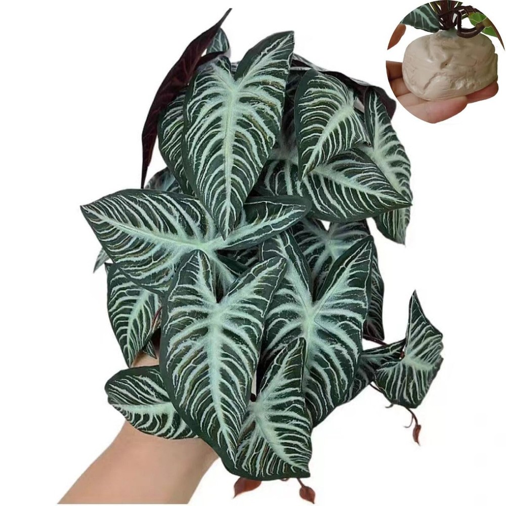 Reptile Plants,Terrarium Decor,Amphibian Habitat Decor,Artificial Plants for …