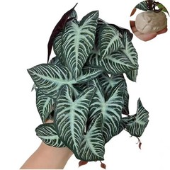 Reptile Plants,Terrarium Decor,Amphibian Habitat Decor,Artificial Plants for …