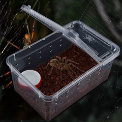 5 PCS Small Spider Terrariums, Transparent Reptile Breeding Box Hatching Case