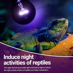 2PCS Reptile Heat Lamp, 150W Night Heat Bulb Moonlight Bulb Purple Infrared H…