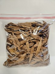 Willow Oak Leaves – 1 Gallon Leaf Litter Terrariums Reptiles Geckos Lizards