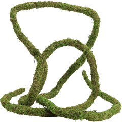Moss Vine for Reptiles, Bendable Climbing Vines Reptile Tank Accessories, Natura