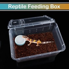 5 PCS Small Spider Terrariums, Transparent Reptile Breeding Box Hatching Case