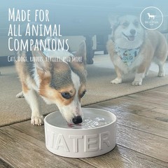 Park Life Designs Pet Bowl | Classic Water (Small, White) Small