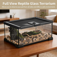 Mini Reptile Glass Terrarium 12″X8″X6″, Full View Rainforest Vivarium Tank, Stac