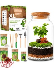 PYEF CRAFTS Terrarium Kit 1 Gallon