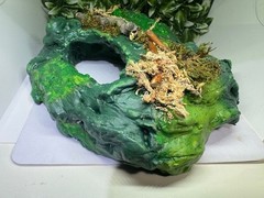Multi use Magnetic Hides For Terrariums And Cages