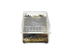 Herpcult Acrylic Reptile Terrarium Gecko Spider Vivarium Enclosure Mini Flat Cl