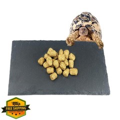 Tfwadmx Tortoise Feeding Dish 12″x6″