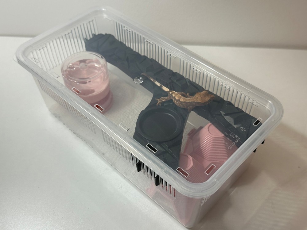5pc Crested Gecko Stackable Cage (Small-Medium) with Lid – Transparent