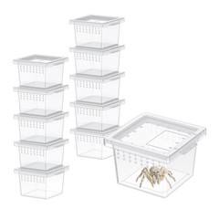 Clear Acrylic Tarantula Terrarium Spider Habitat Breeding Enclosure Box