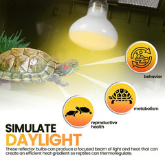 (4-Pack 100W Reptile Heat Lamp Bulbs – UVA Daylight Basking Light Bulbs for Rept