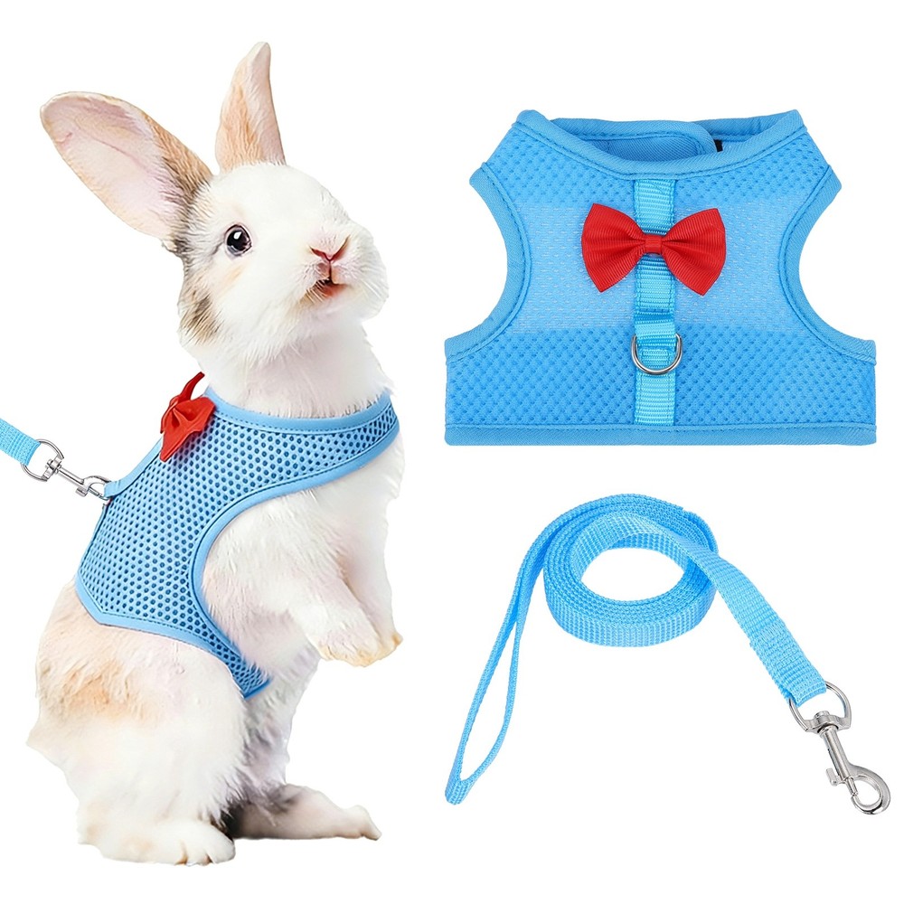 Rabbit Harness and Leash, Small Pet Cute Vest Harness Leash(L, Sky Blue)