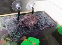 Turtle Platform, Floating Turtle Pier Rectangular Terrapin Dock PU Foam Aquar…