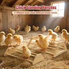 Pawaboo 7-in-1 Chicken Brooder Box for Chick Starter Kit, Includes Chicks Per…