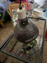 Reptile Set Up Pet Supplies